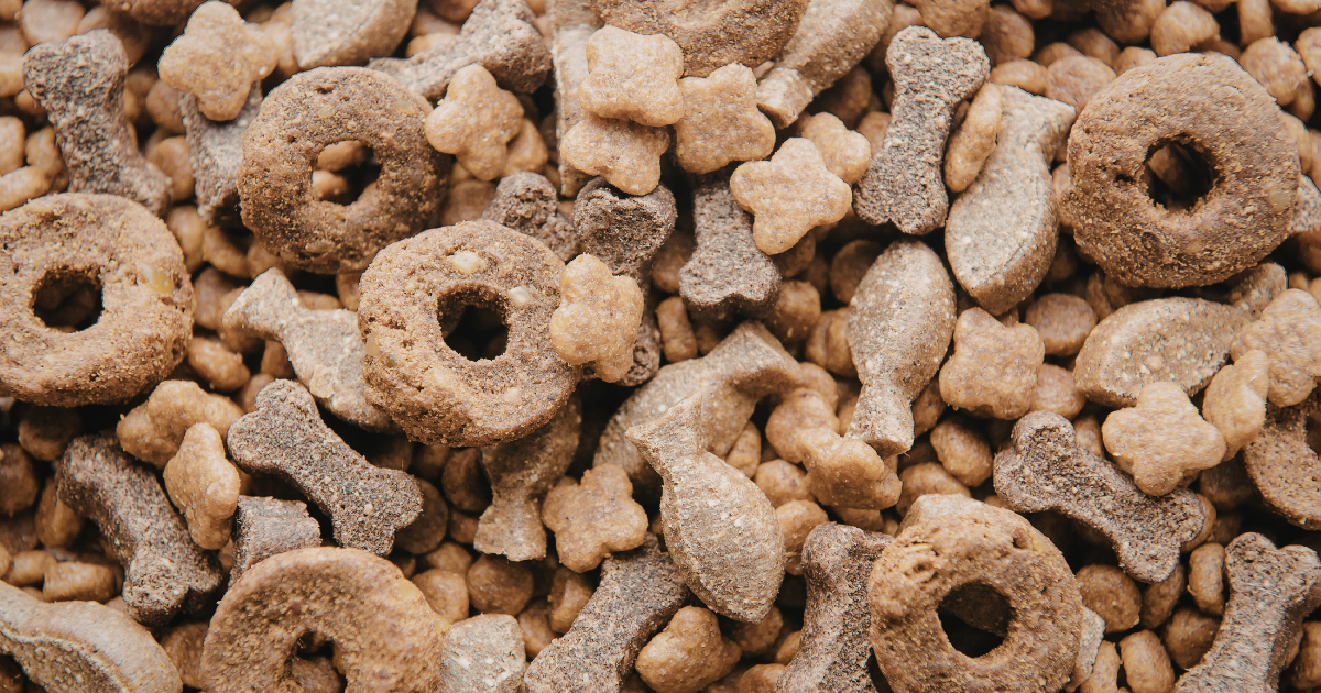 Tricks or Treats: Why are Treats Used in Training?